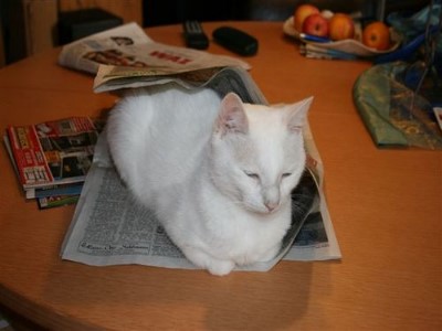../Images/Bild 007.jpg